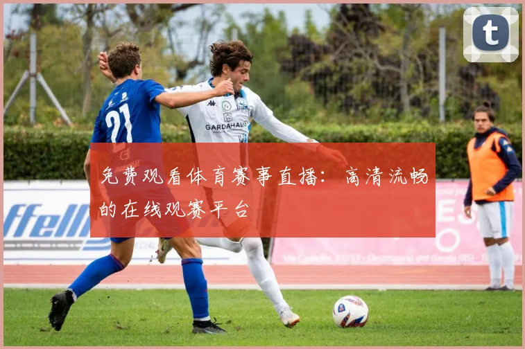 免费观看体育赛事直播：高清流畅的在线观赛平台